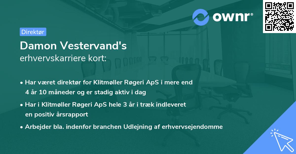 Damon Vestervand's erhvervskarriere kort