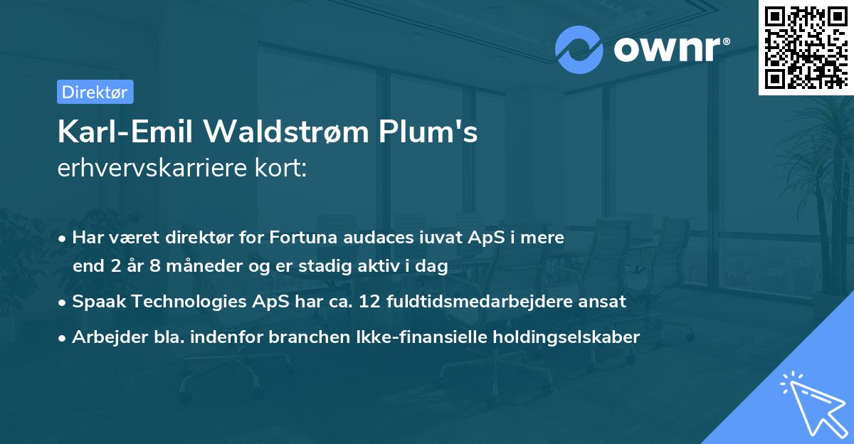Karl-Emil Waldstrøm Plum's erhvervskarriere kort