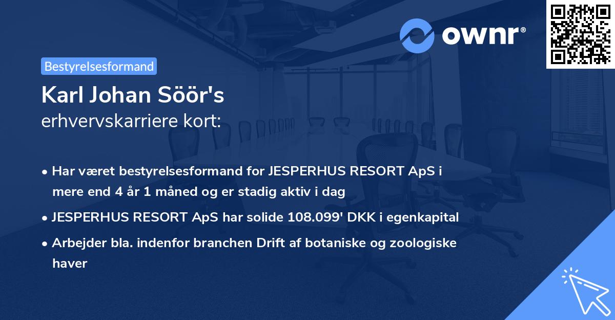 Karl Johan Söör's erhvervskarriere kort