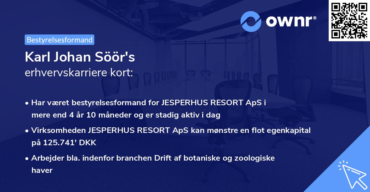 Karl Johan Söör's erhvervskarriere kort