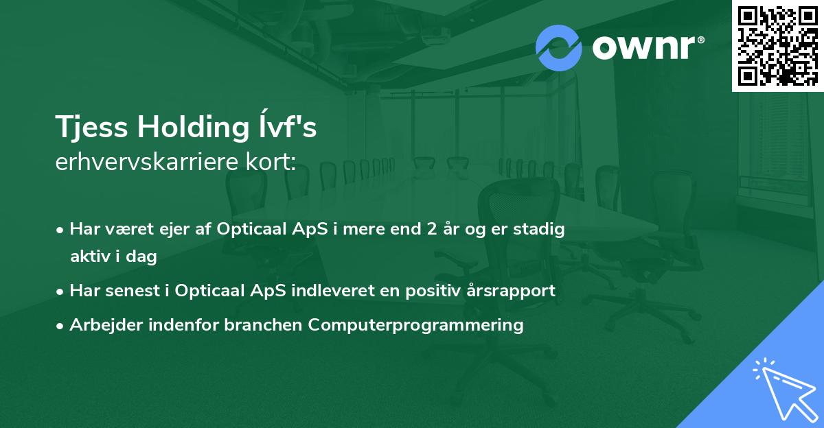 Tjess Holding Ívf's erhvervskarriere kort