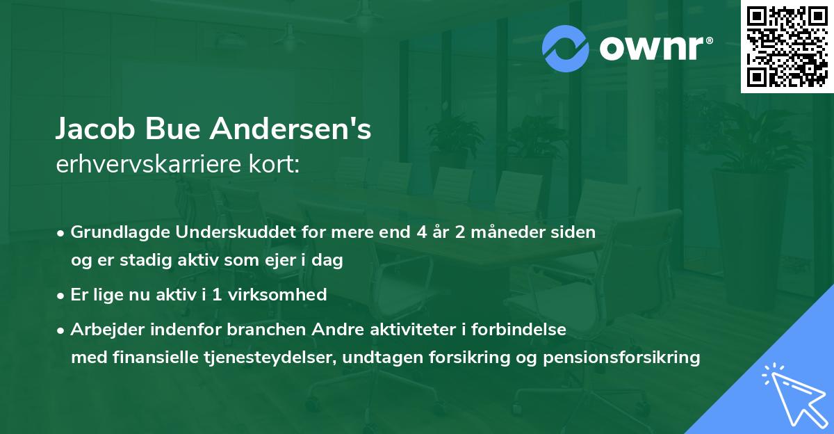 Jacob Bue Andersen's erhvervskarriere kort