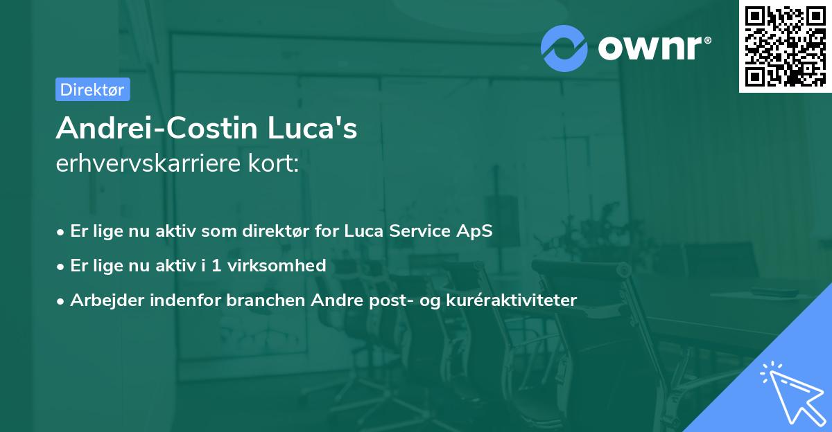 Andrei-Costin Luca's erhvervskarriere kort