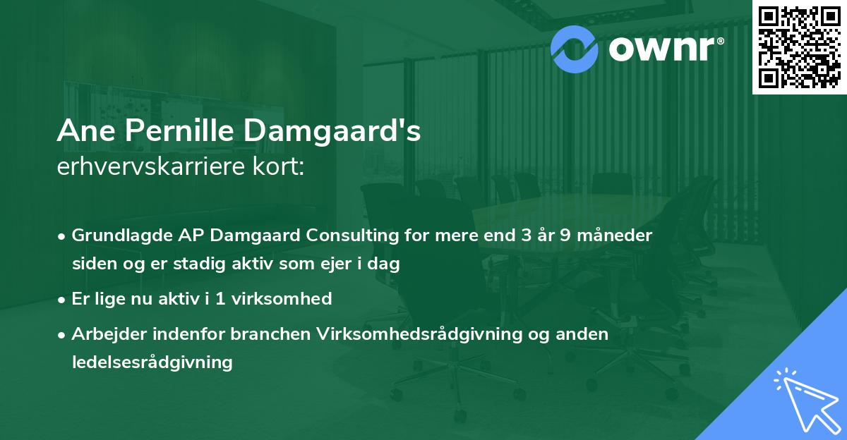 Ane Pernille Damgaard's erhvervskarriere kort