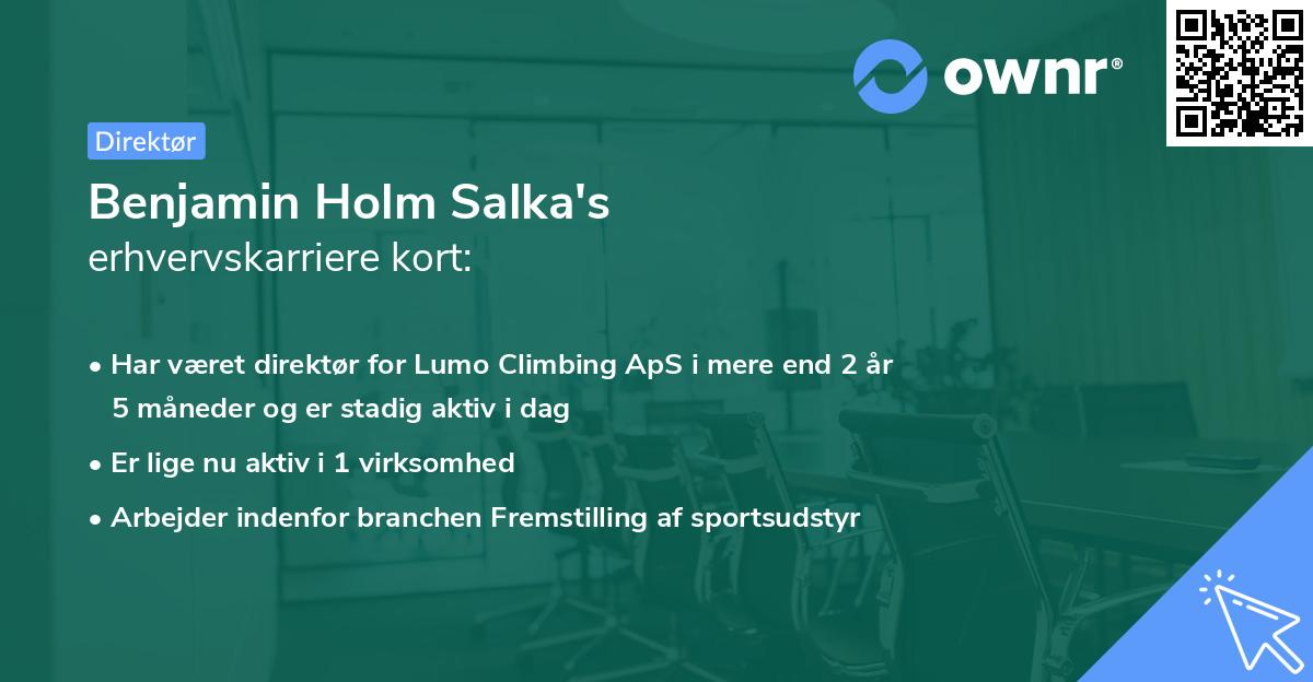 Benjamin Holm Salka's erhvervskarriere kort