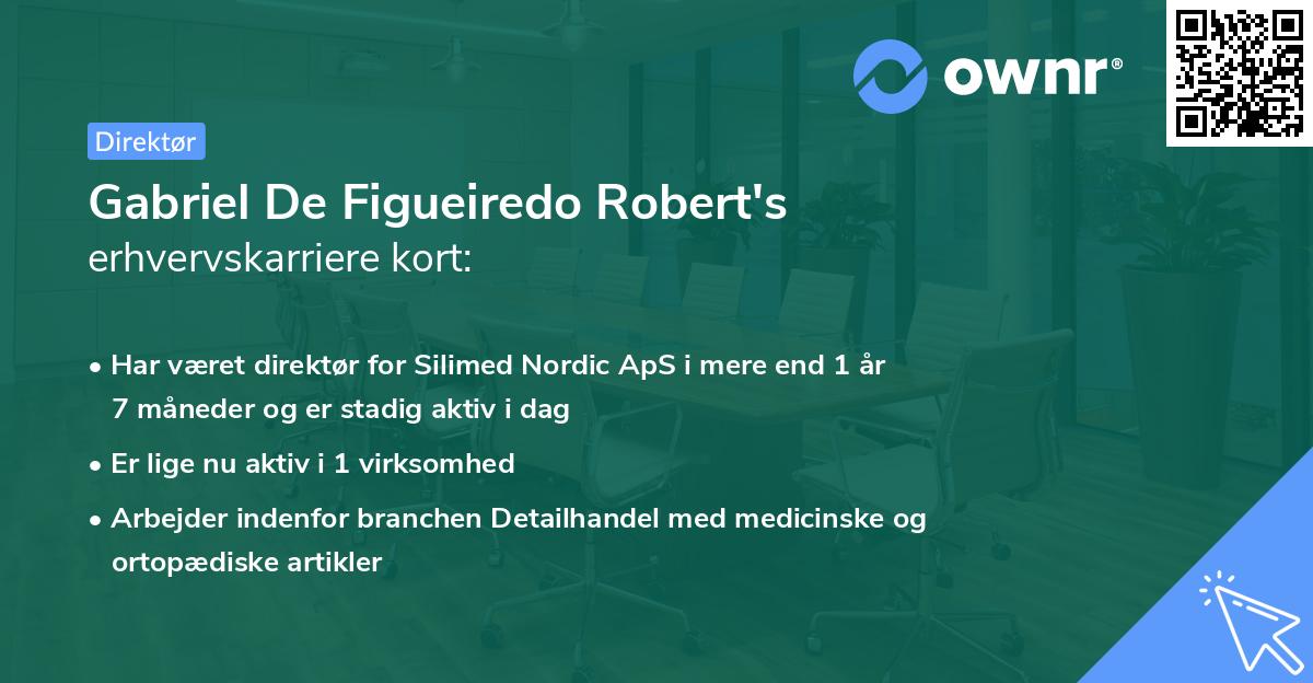 Gabriel De Figueiredo Robert's erhvervskarriere kort