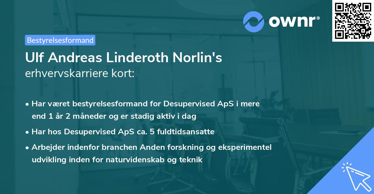 Ulf Andreas Linderoth Norlin's erhvervskarriere kort
