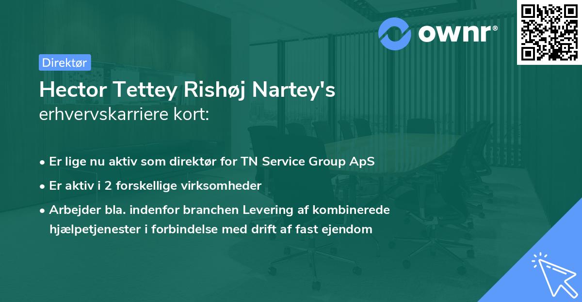 Hector Tettey Rishøj Nartey's erhvervskarriere kort