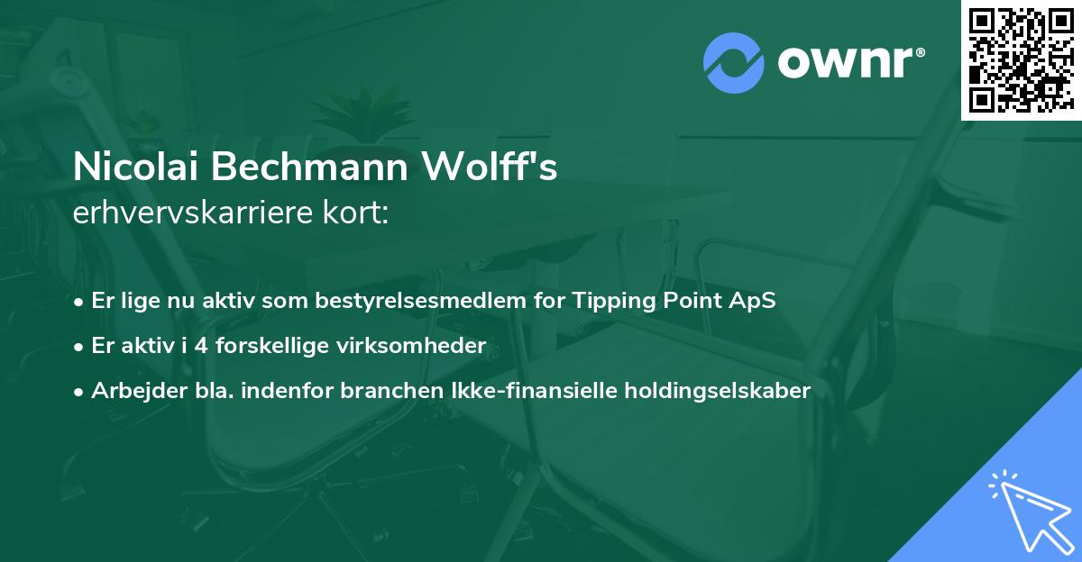 Nicolai Bechmann Wolff's erhvervskarriere kort