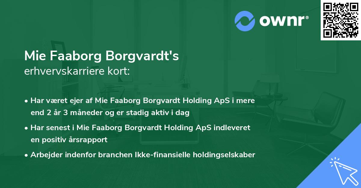 Mie Faaborg Borgvardt's erhvervskarriere kort