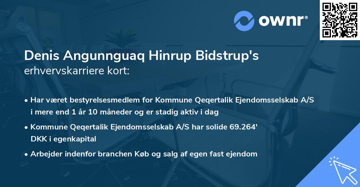 Denis Angunnguaq Hinrup Bidstrup's erhvervskarriere kort