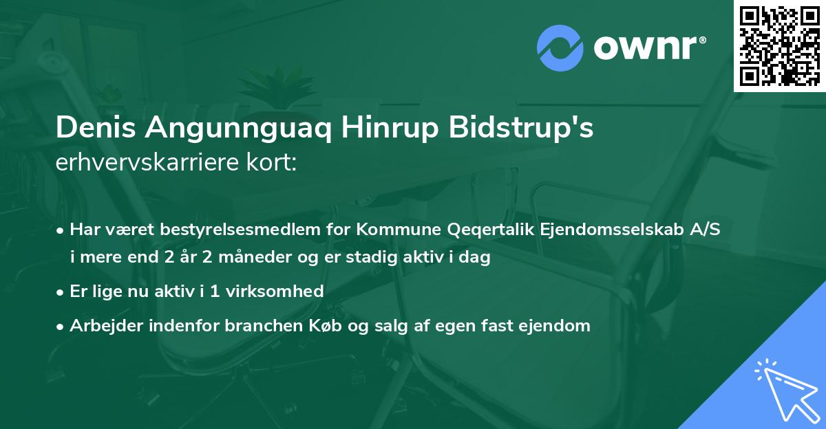 Denis Angunnguaq Hinrup Bidstrup's erhvervskarriere kort