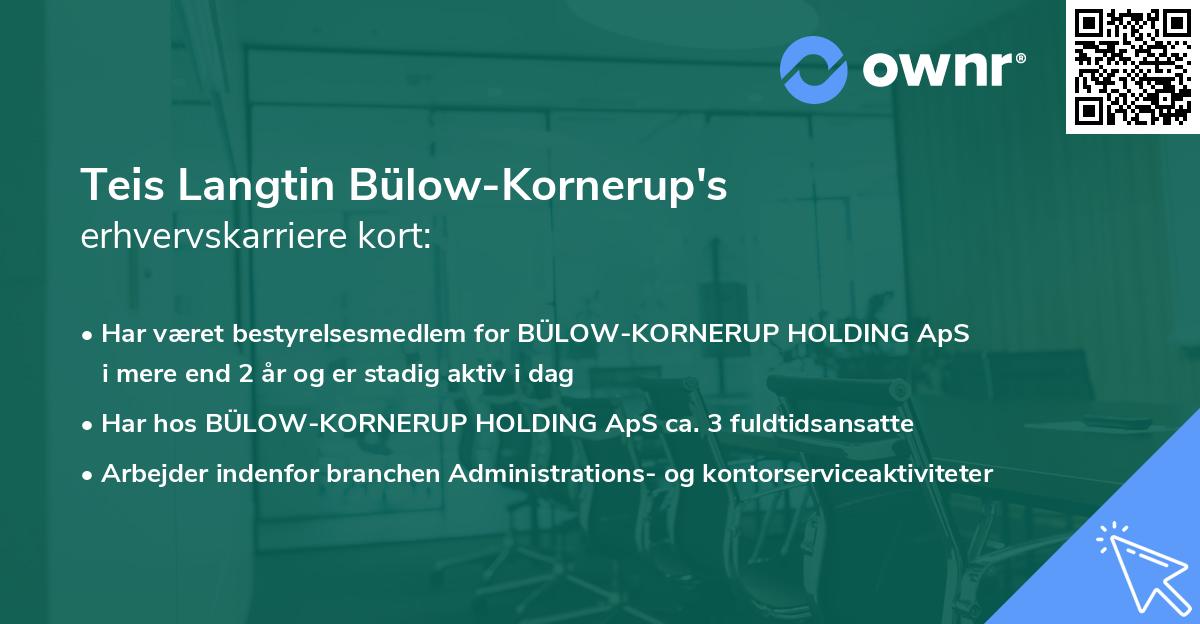 Teis Langtin Bülow-Kornerup's erhvervskarriere kort