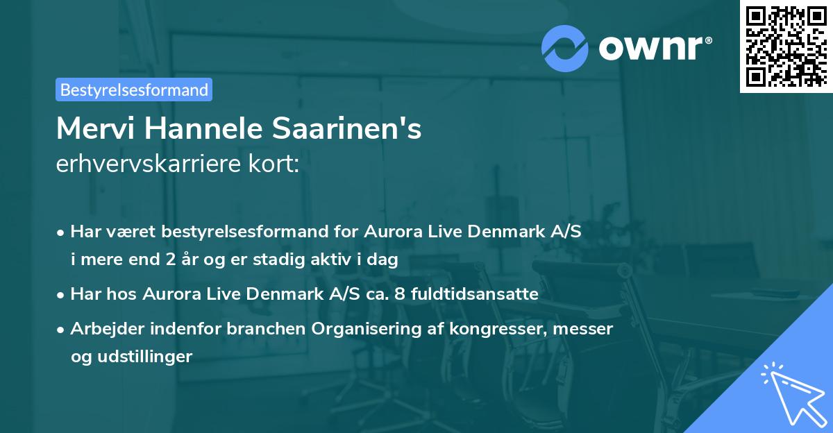 Mervi Hannele Saarinen's erhvervskarriere kort