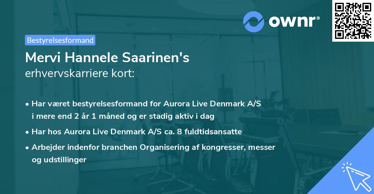 Mervi Hannele Saarinen's erhvervskarriere kort