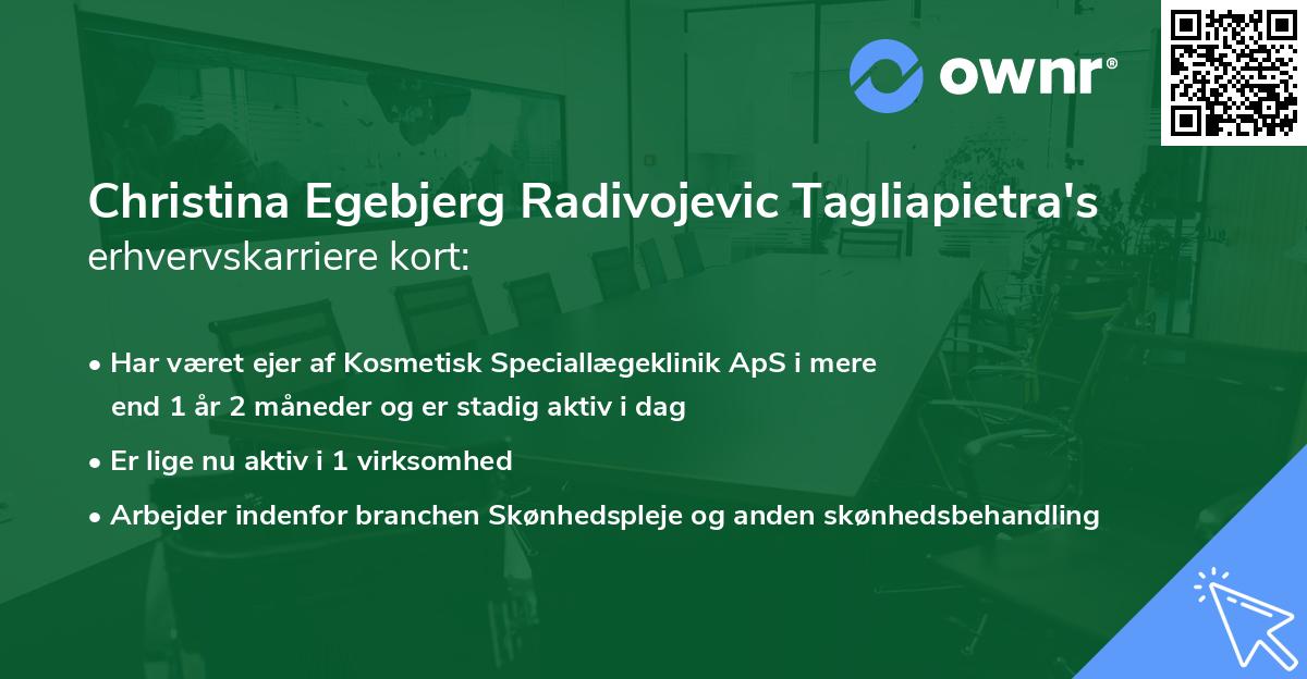 Christina Egebjerg Radivojevic Tagliapietra's erhvervskarriere kort