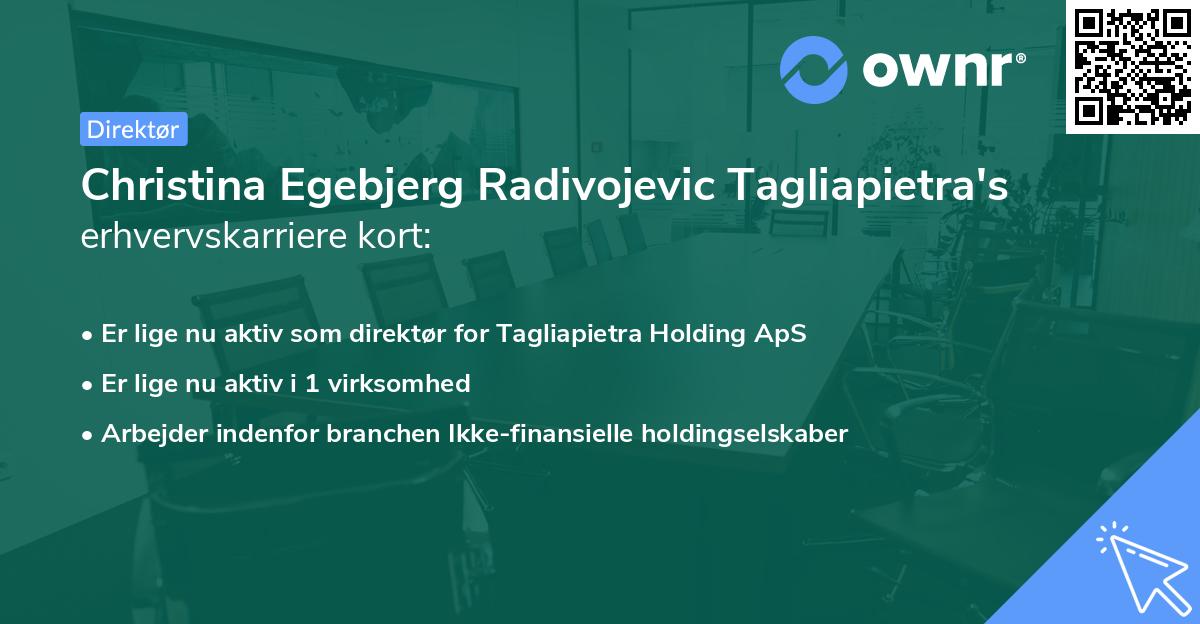 Christina Egebjerg Radivojevic Tagliapietra's erhvervskarriere kort