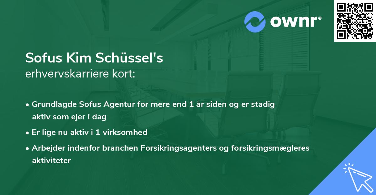 Sofus Kim Schüssel's erhvervskarriere kort