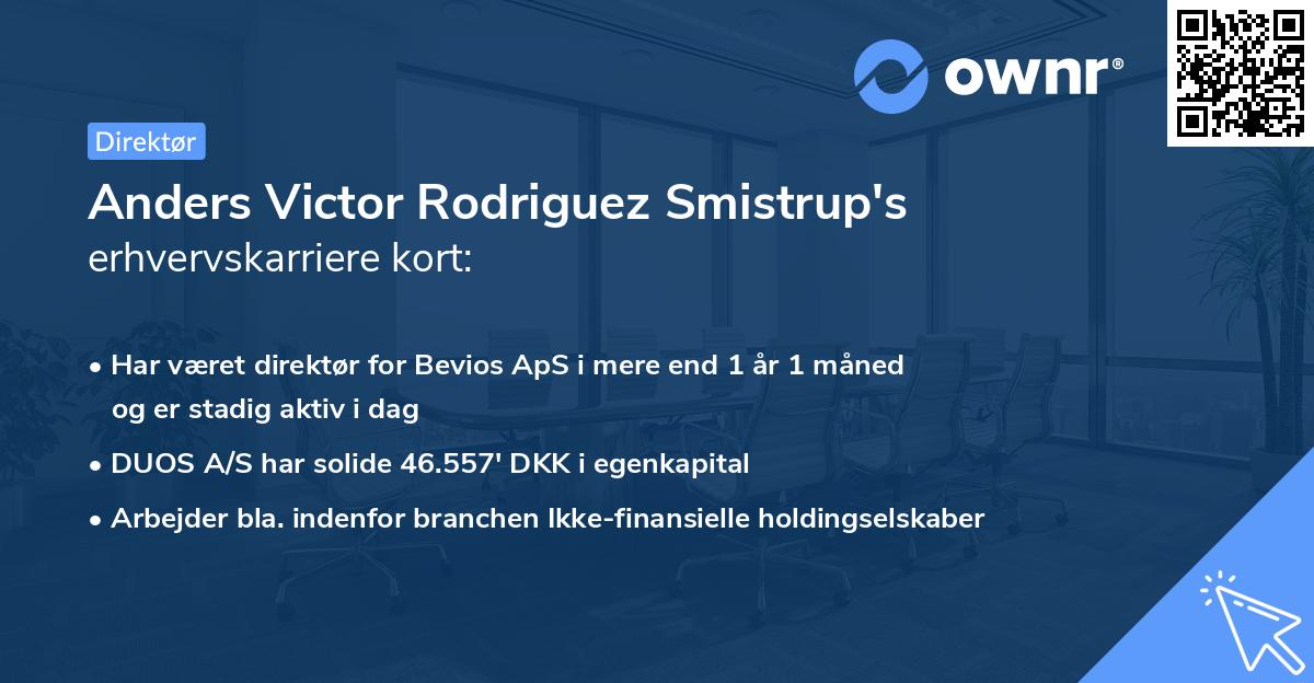 Anders Victor Rodriguez Smistrup's erhvervskarriere kort