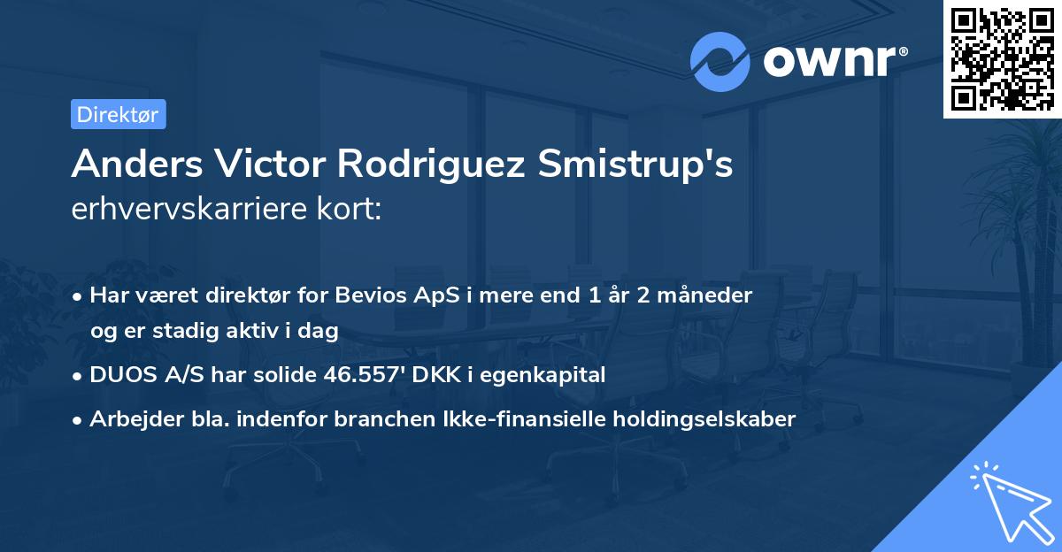 Anders Victor Rodriguez Smistrup's erhvervskarriere kort