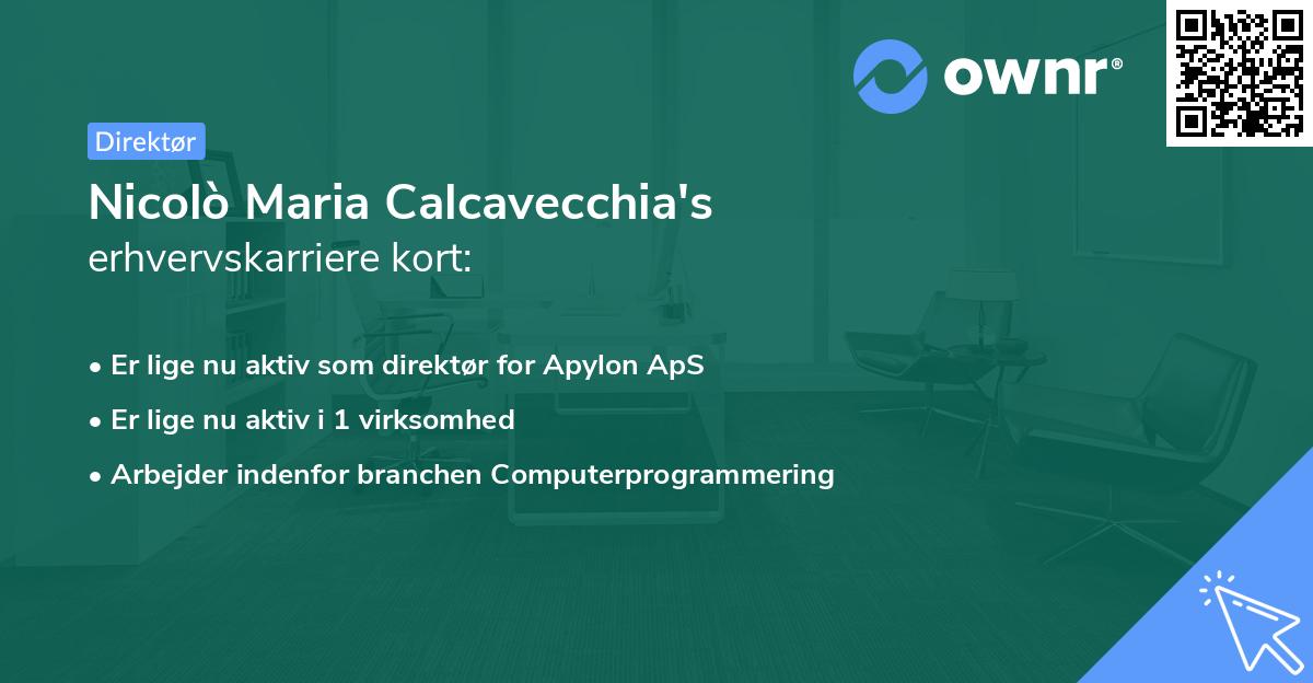 Nicolò Maria Calcavecchia's erhvervskarriere kort