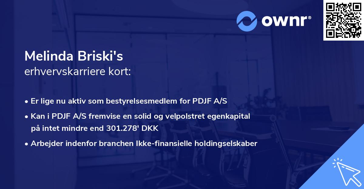 Melinda Briski's erhvervskarriere kort