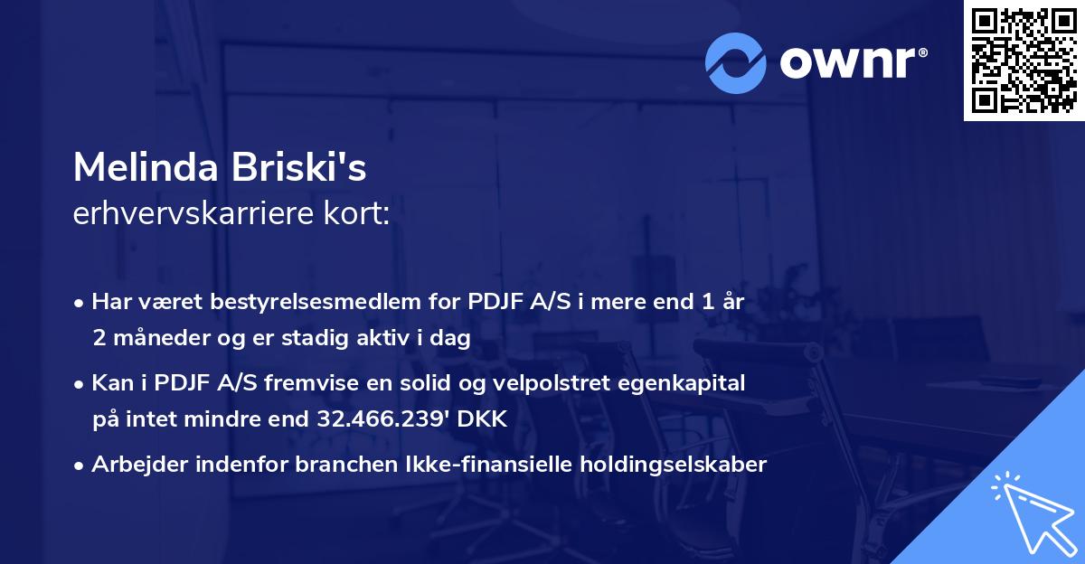 Melinda Briski's erhvervskarriere kort