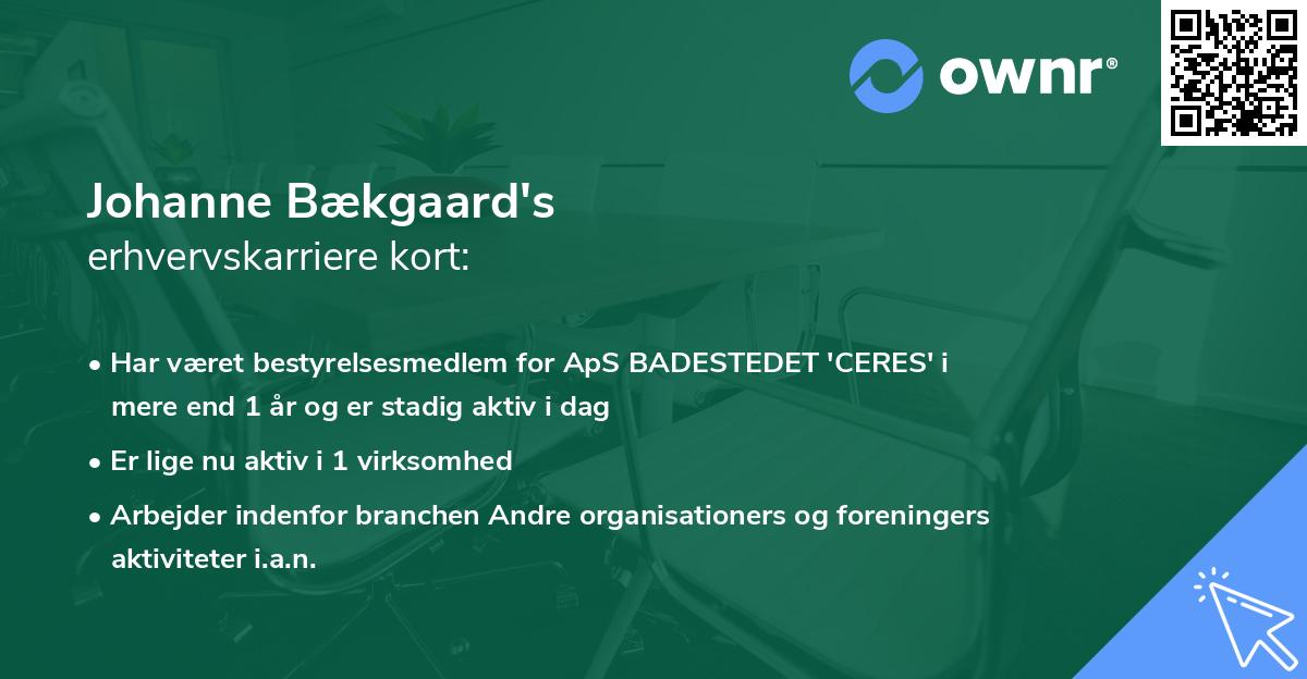 Johanne Bækgaard's erhvervskarriere kort