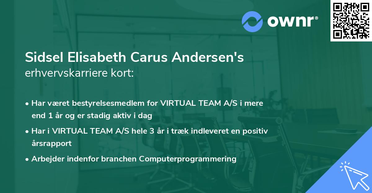 Sidsel Elisabeth Carus Andersen's erhvervskarriere kort