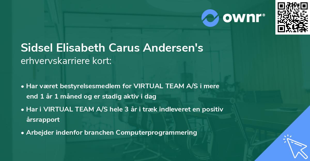 Sidsel Elisabeth Carus Andersen's erhvervskarriere kort
