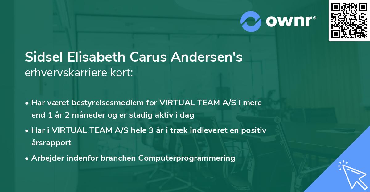 Sidsel Elisabeth Carus Andersen's erhvervskarriere kort