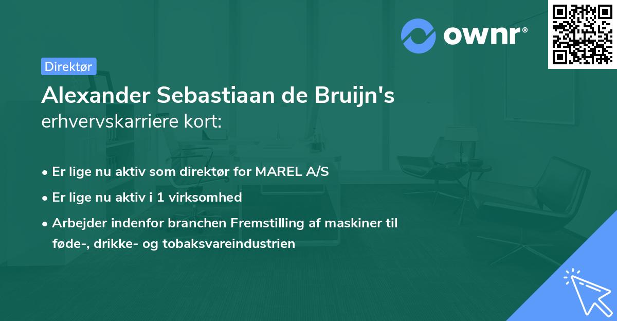 Alexander Sebastiaan de Bruijn's erhvervskarriere kort