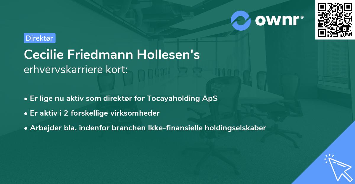 Cecilie Friedmann Hollesen's erhvervskarriere kort