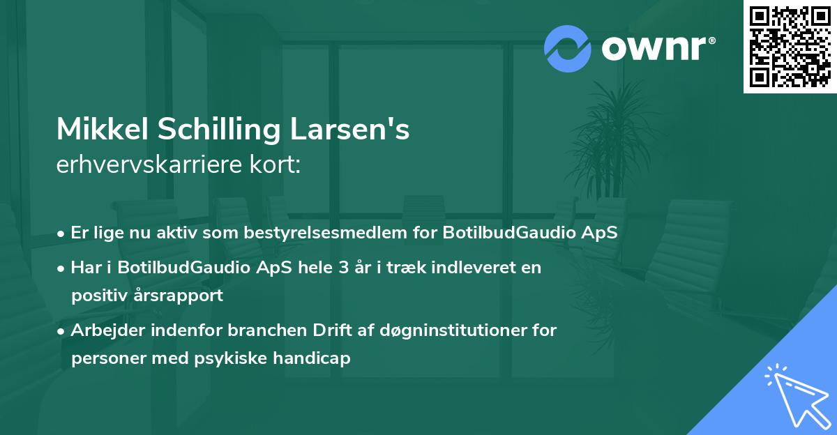 Mikkel Schilling Larsen's erhvervskarriere kort