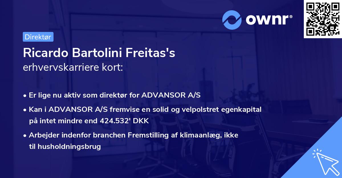Ricardo Bartolini Freitas's erhvervskarriere kort