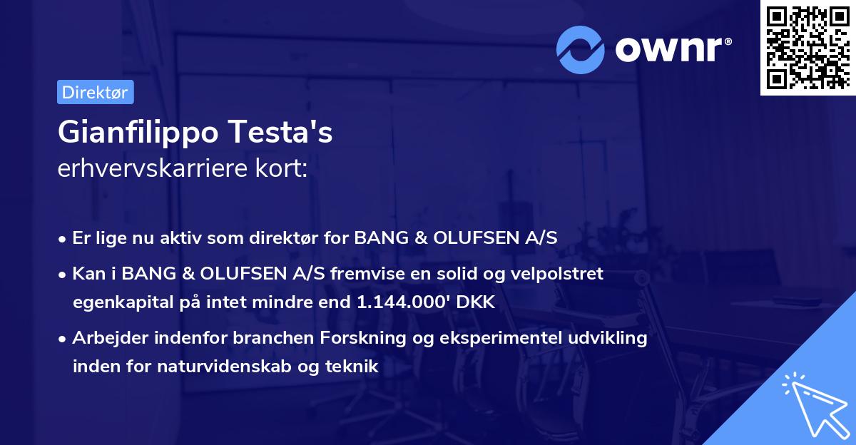 Gianfilippo Testa's erhvervskarriere kort