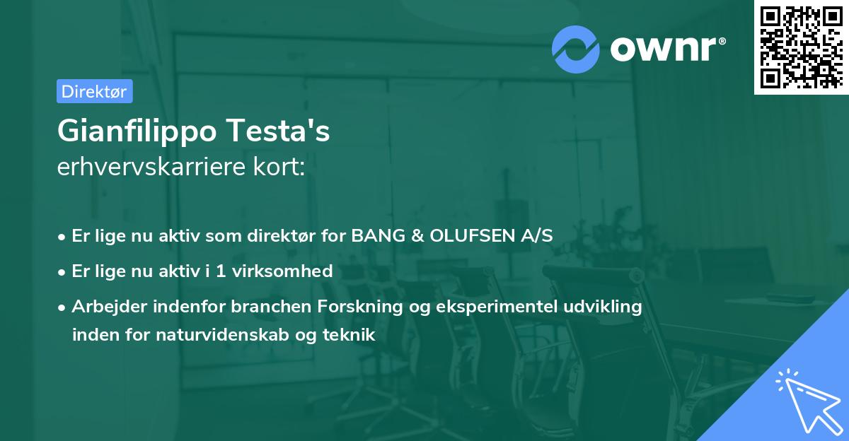 Gianfilippo Testa's erhvervskarriere kort