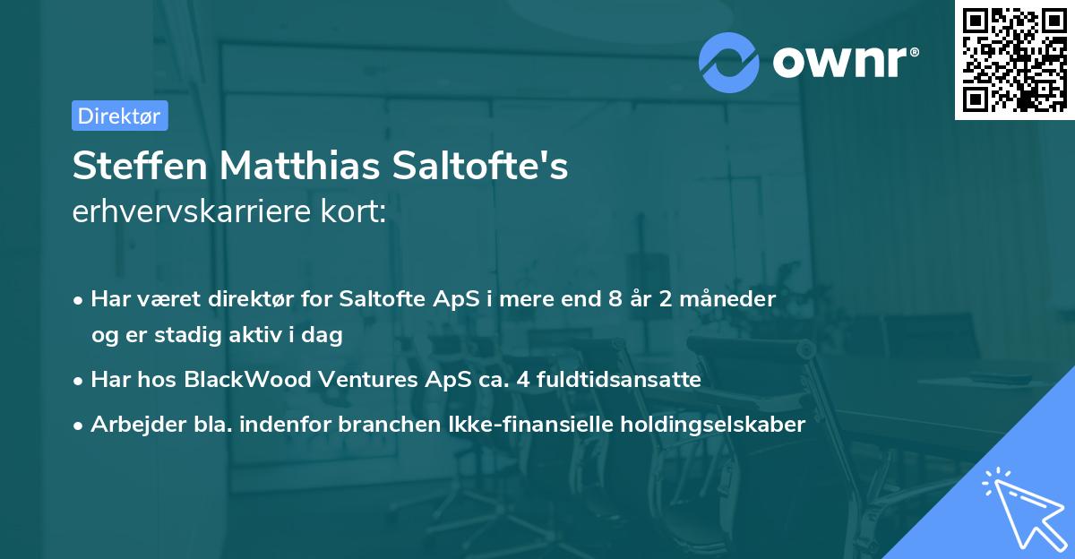Steffen Matthias Saltofte's erhvervskarriere kort