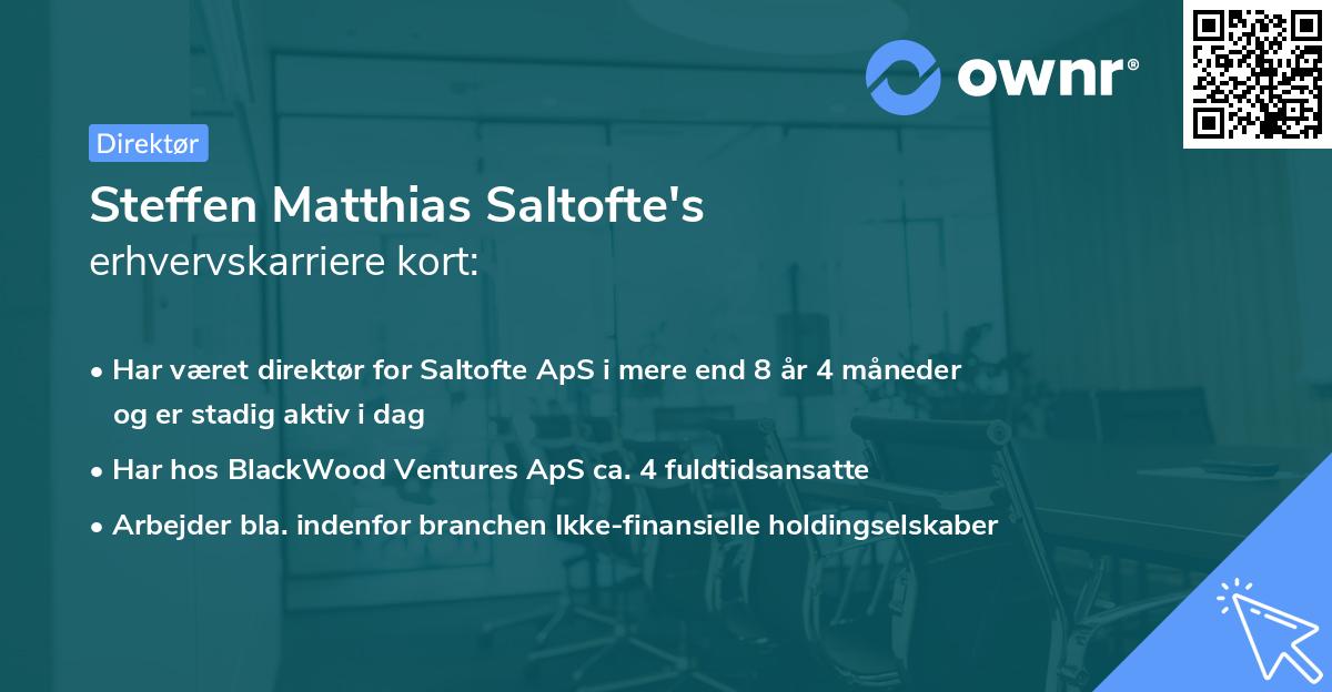 Steffen Matthias Saltofte's erhvervskarriere kort