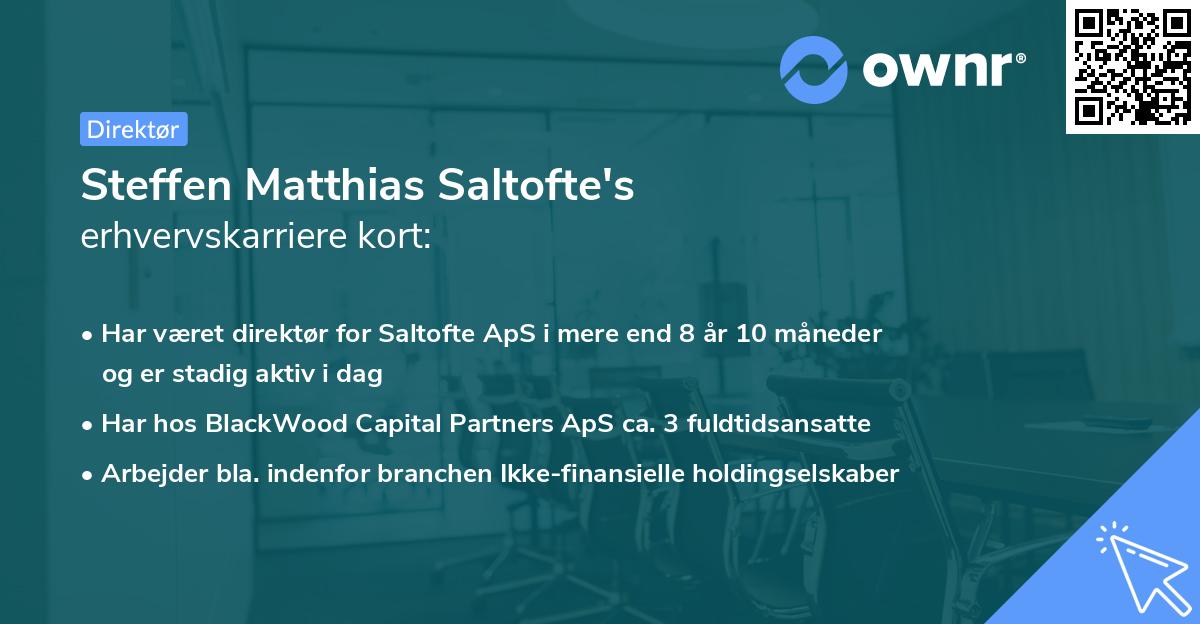 Steffen Matthias Saltofte's erhvervskarriere kort