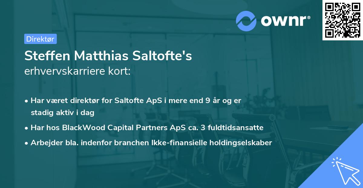 Steffen Matthias Saltofte's erhvervskarriere kort