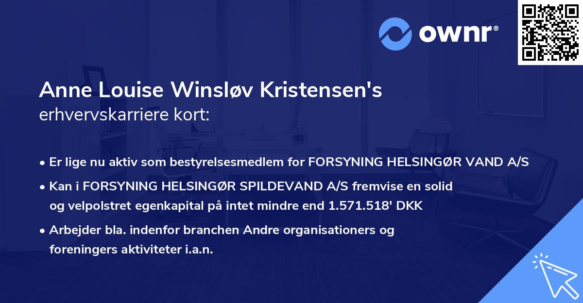 Anne Louise Winsløv Kristensen's erhvervskarriere kort