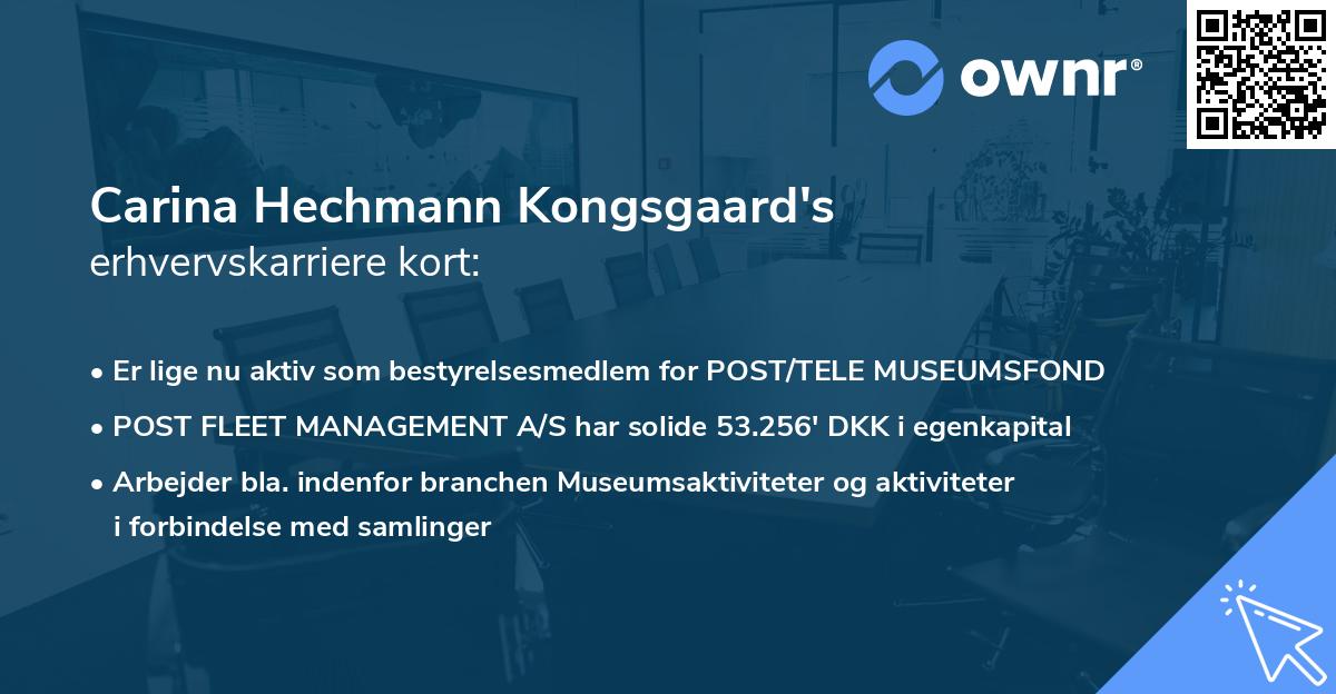 Carina Hechmann Kongsgaard's erhvervskarriere kort