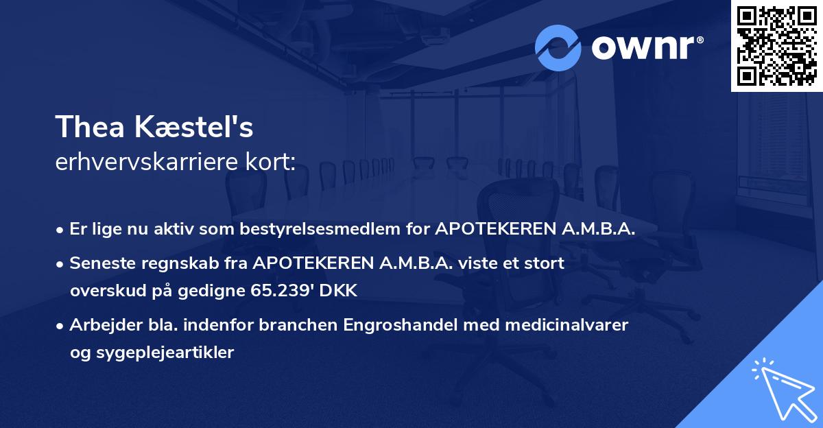 Thea Kæstel's erhvervskarriere kort