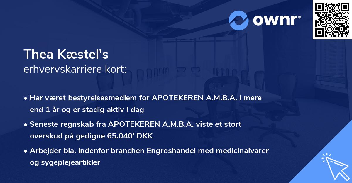 Thea Kæstel's erhvervskarriere kort