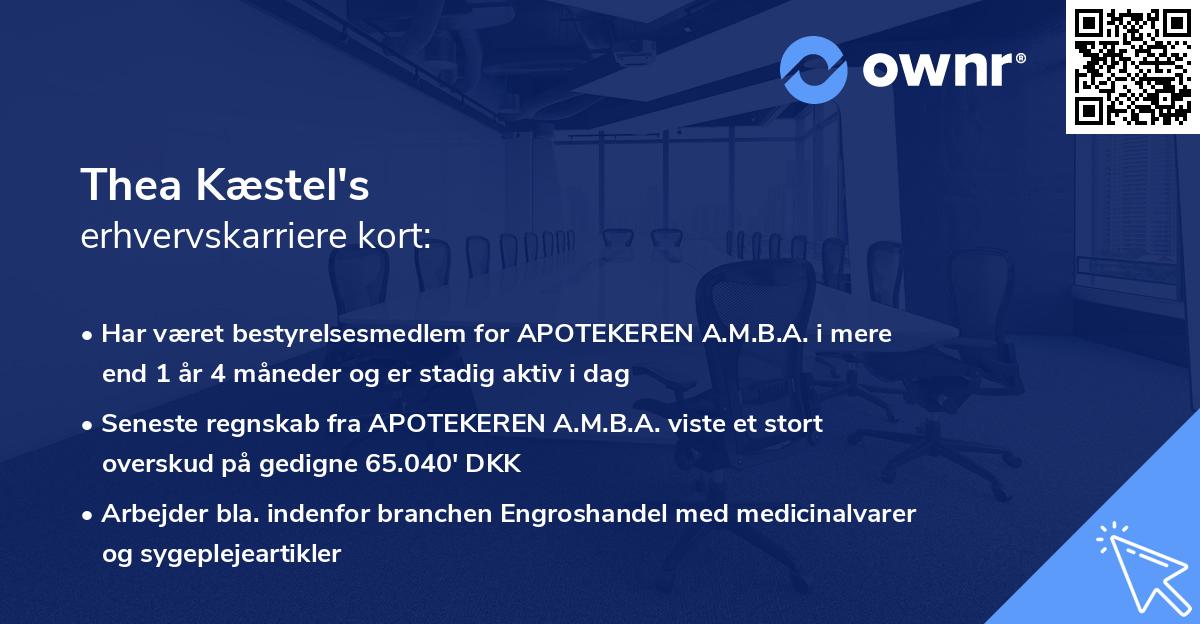 Thea Kæstel's erhvervskarriere kort