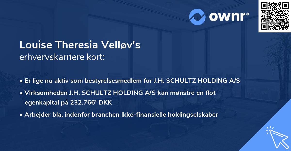 Louise Theresia Velløv's erhvervskarriere kort