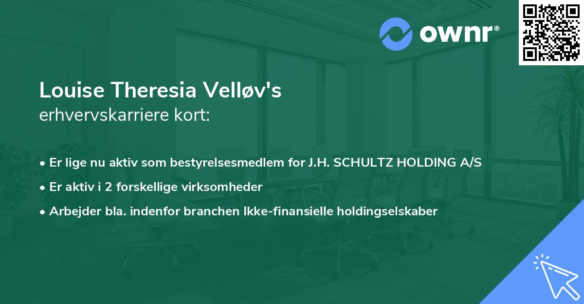 Louise Theresia Velløv's erhvervskarriere kort