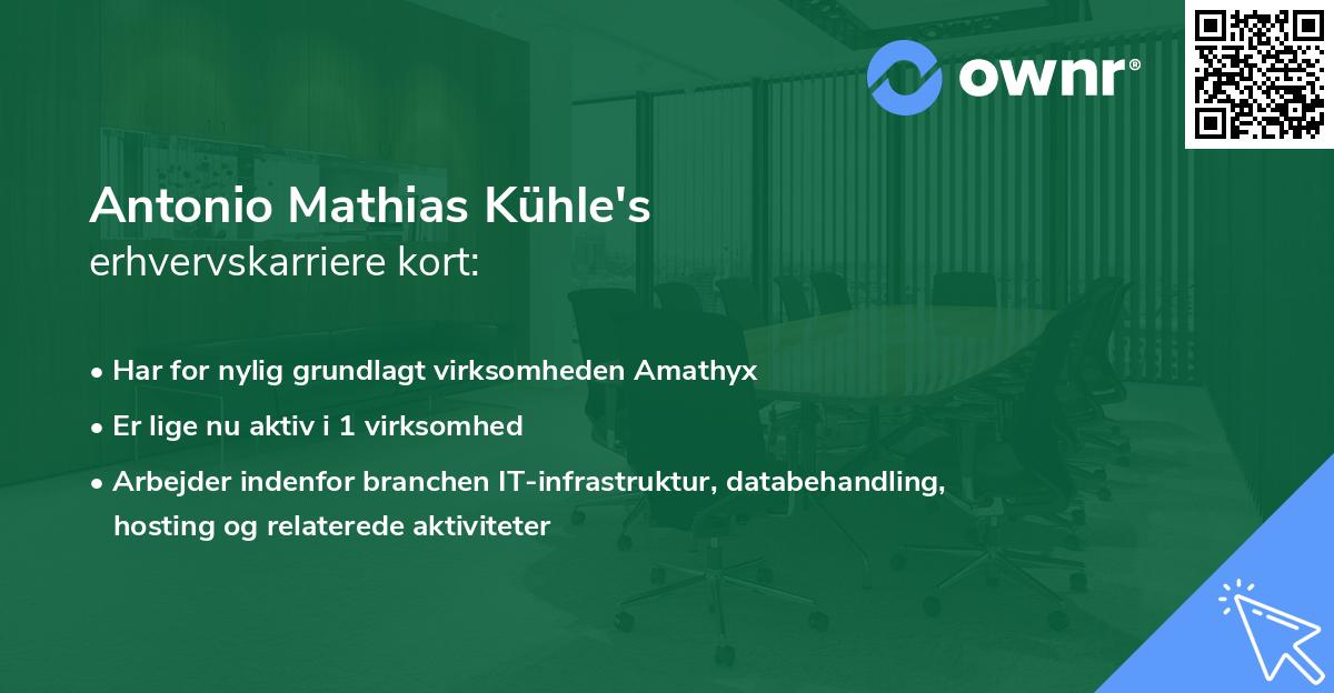 Antonio Mathias Kühle's erhvervskarriere kort