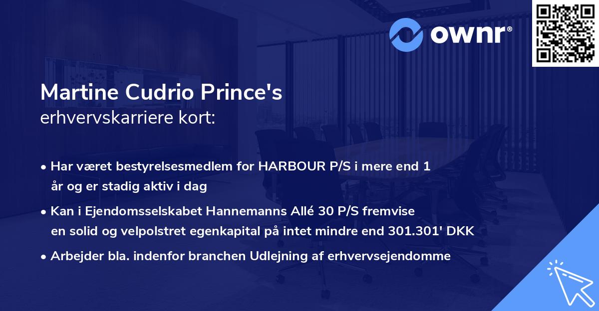Martine Cudrio Prince's erhvervskarriere kort